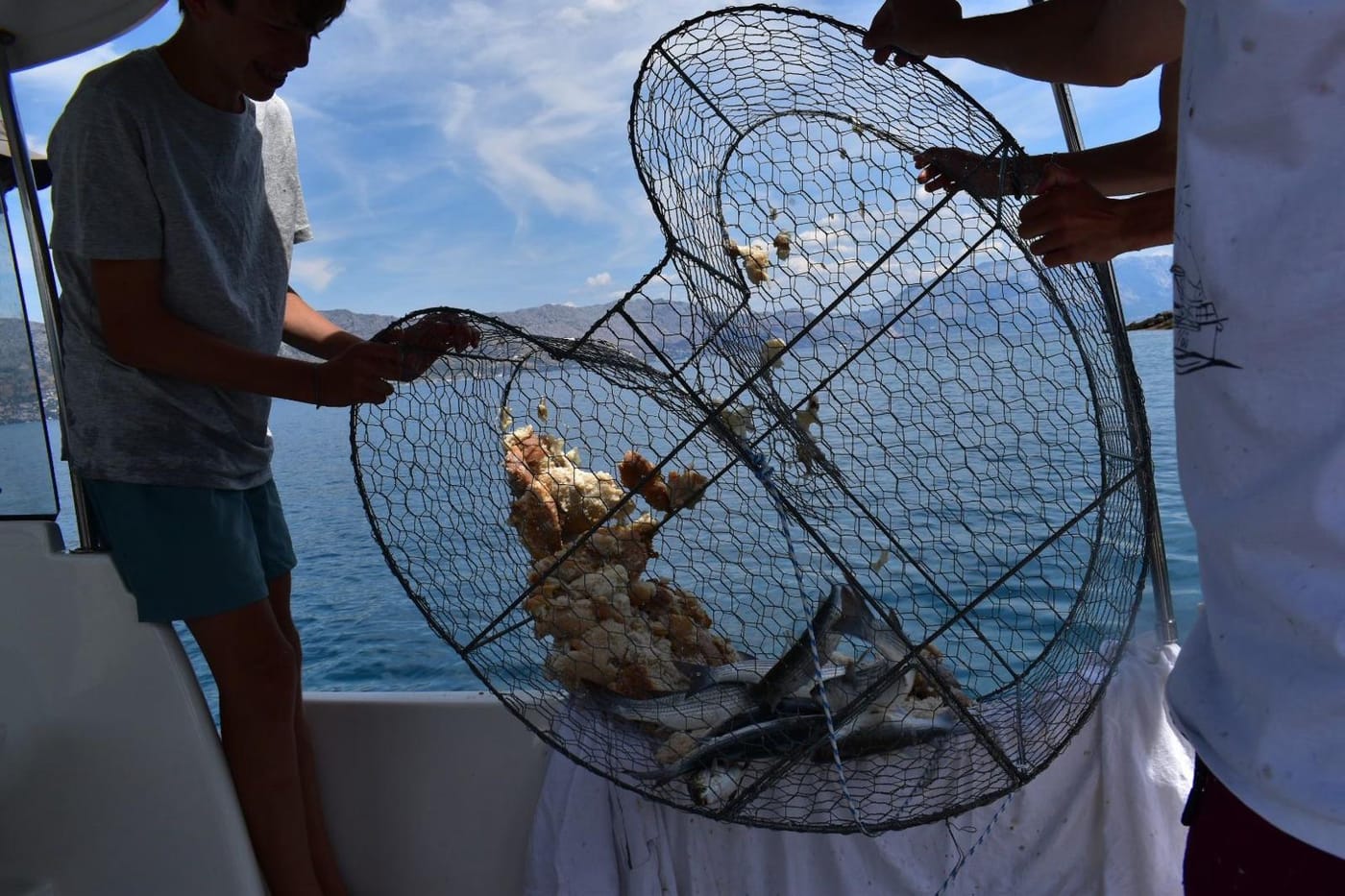 The day's catch on a sunset fishing trip near Omiš, Croatia
